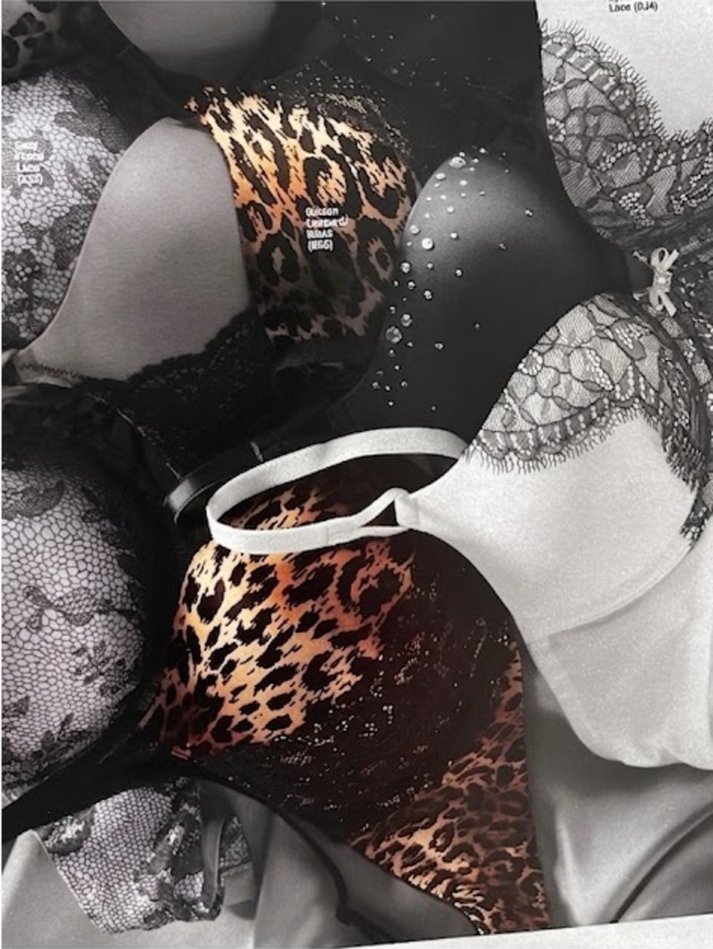 VS Miraculous Plunge Bombshell in Leopard Print/ Black lace bra